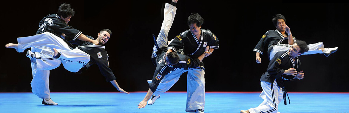 World Hapkimudo Federation